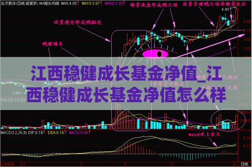 江西稳健成长基金净值_江西稳健成长基金净值怎么样