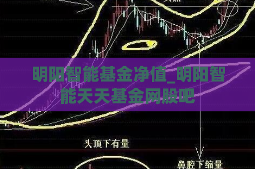 明阳智能基金净值_明阳智能天天基金网股吧