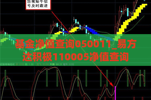 基金净值查询050011_易方达积极110005净值查询