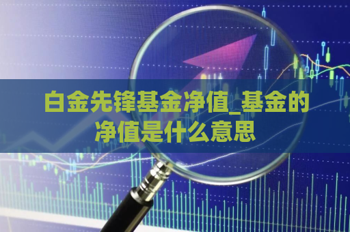 白金先锋基金净值_基金的净值是什么意思  第1张