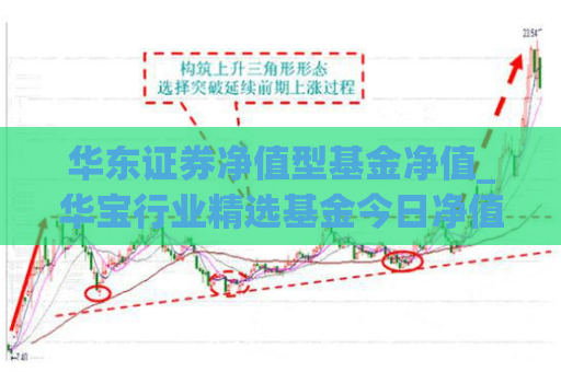 华东证券净值型基金净值_华宝行业精选基金今日净值