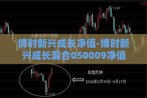 博时新兴成长净值-博时新兴成长混合050009净值  第1张