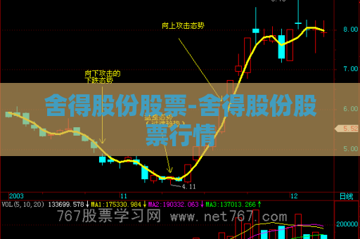 舍得股份股票-舍得股份股票行情  第1张