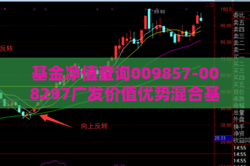 基金净值查询009857-008297广发价值优势混合基金净值  第1张