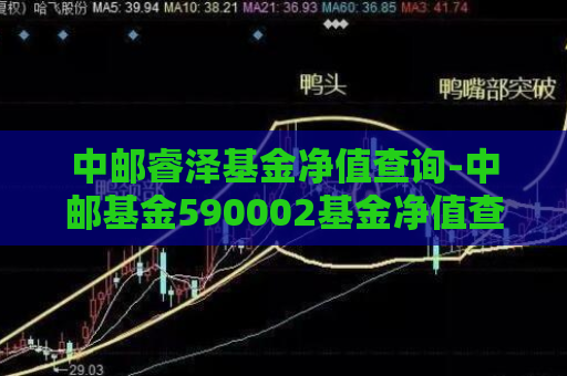 中邮睿泽基金净值查询-中邮基金590002基金净值查询  第1张