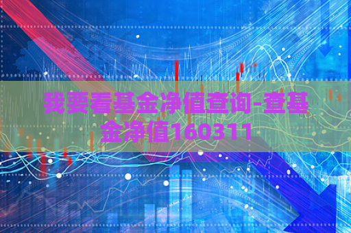 我要看基金净值查询-查基金净值160311  第1张