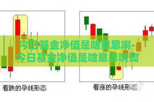 今日基金净值是啥意思啊-今日基金净值是啥意思啊知乎