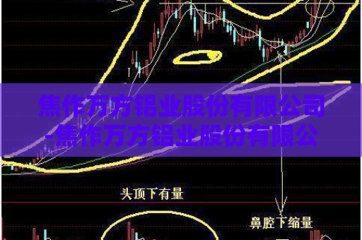 焦作万方铝业股份有限公司-焦作万方铝业股份有限公司的概况  第1张