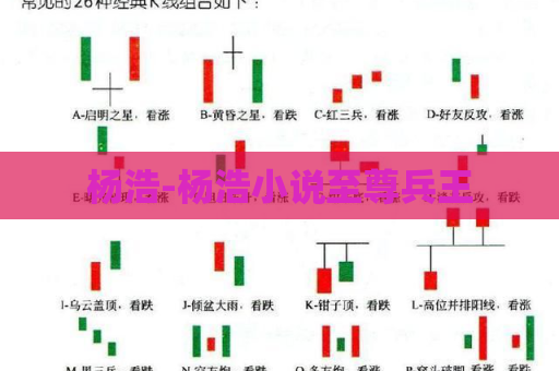 杨浩-杨浩小说至尊兵王  第1张