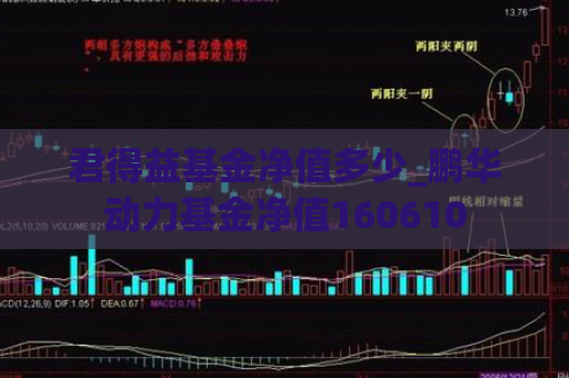 君得益基金净值多少_鹏华动力基金净值160610  第1张