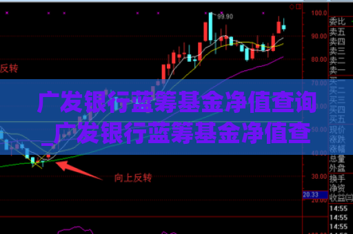 广发银行蓝筹基金净值查询_广发银行蓝筹基金净值查询系统  第1张