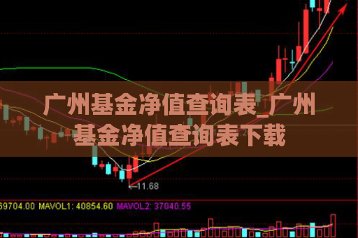 广州基金净值查询表_广州基金净值查询表下载  第1张