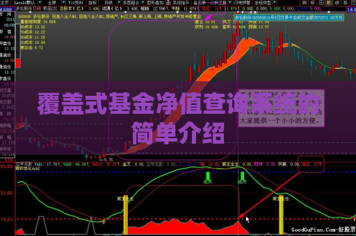 覆盖式基金净值查询系统的简单介绍  第1张