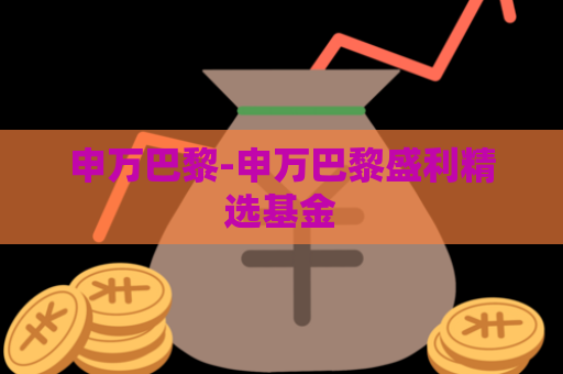 申万巴黎-申万巴黎盛利精选基金