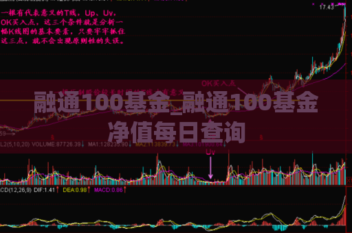 融通100基金_融通100基金净值每日查询