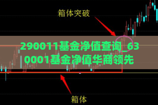 290011基金净值查询_630001基金净值华商领先  第1张