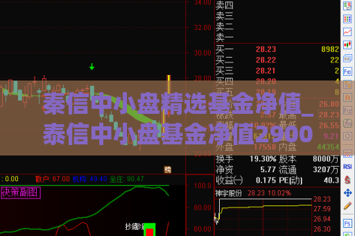 秦信中小盘精选基金净值_泰信中小盘基金净值290011  第1张