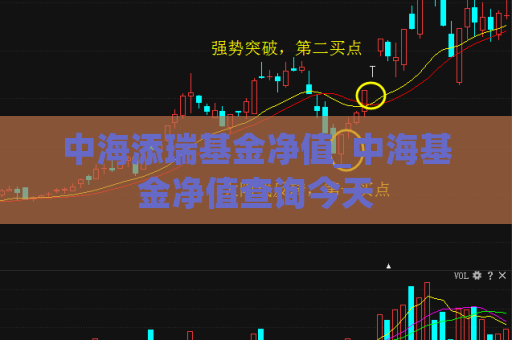 中海添瑞基金净值_中海基金净值查询今天  第1张