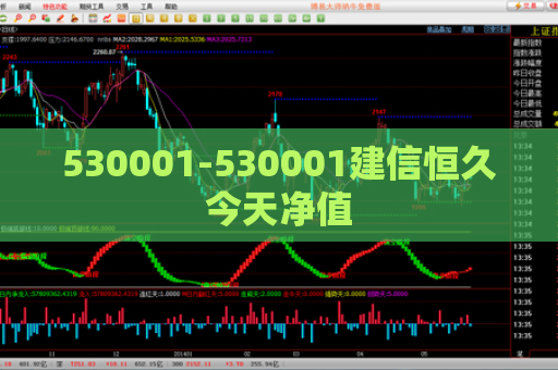 530001-530001建信恒久今天净值