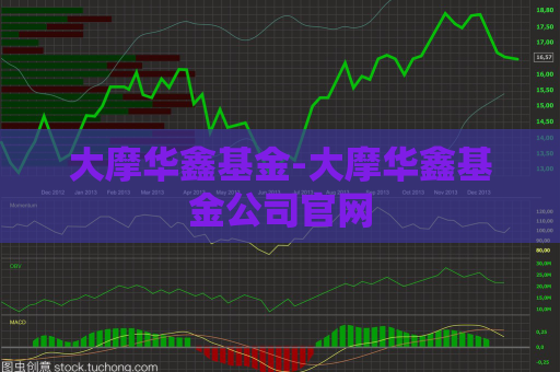 大摩华鑫基金-大摩华鑫基金公司官网  第1张