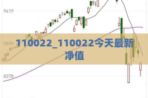 110022_110022今天最新净值  第1张