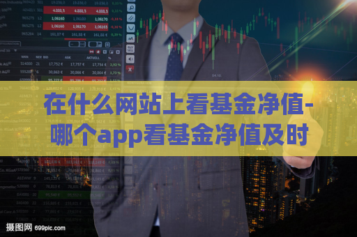 在什么网站上看基金净值-哪个app看基金净值及时  第1张