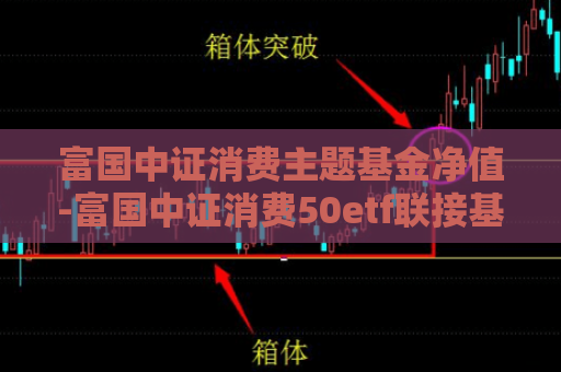 富国中证消费主题基金净值-富国中证消费50etf联接基金c  第1张