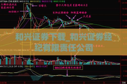 和兴证券下载_和兴证券经纪有限责任公司  第1张