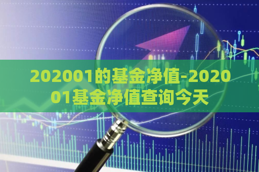 202001的基金净值-202001基金净值查询今天  第1张