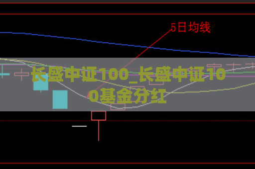 长盛中证100_长盛中证100基金分红  第1张