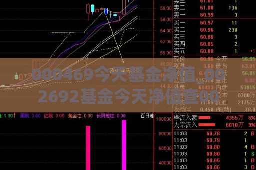 000469今天基金净值_002692基金今天净值查00  第1张