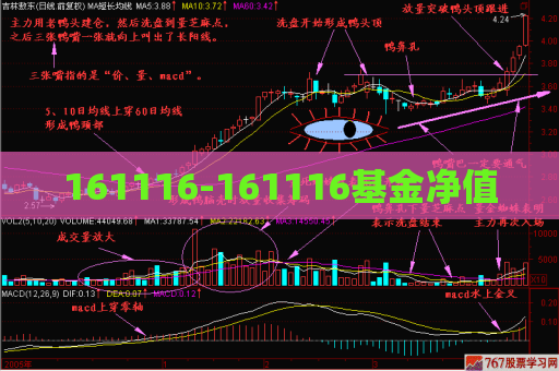 161116-161116基金净值  第1张