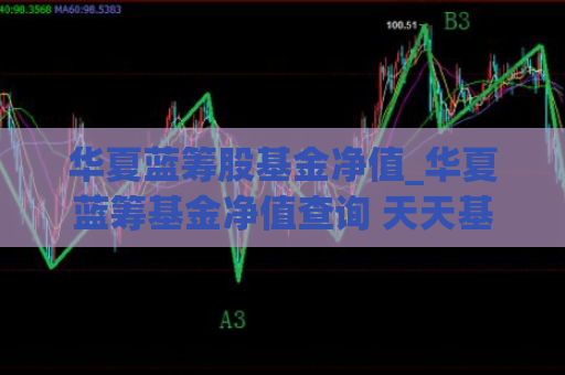 华夏蓝筹股基金净值_华夏蓝筹基金净值查询 天天基金网