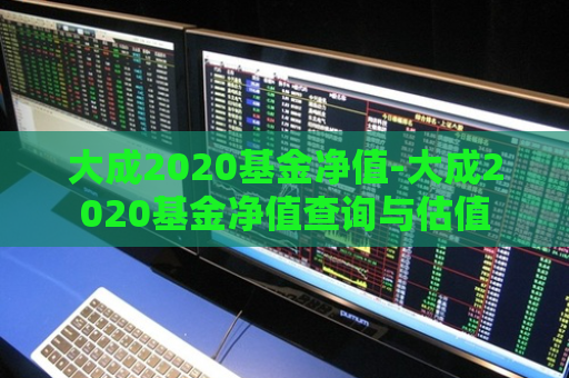 大成2020基金净值-大成2020基金净值查询与估值  第1张