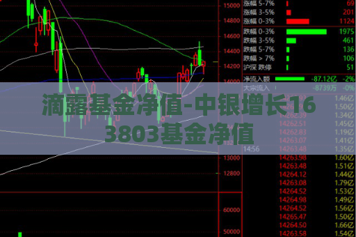 滴露基金净值-中银增长163803基金净值  第1张