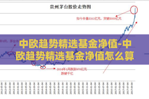 中欧趋势精选基金净值-中欧趋势精选基金净值怎么算  第1张