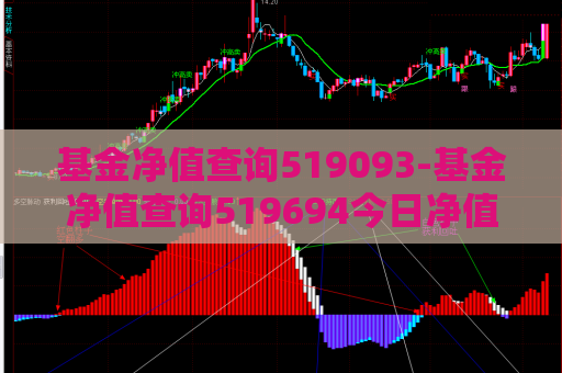 基金净值查询519093-基金净值查询519694今日净值  第1张