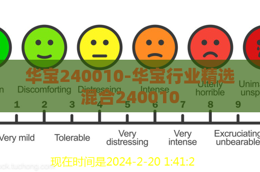 华宝240010-华宝行业精选混合240010