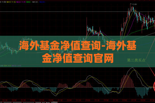 海外基金净值查询-海外基金净值查询官网