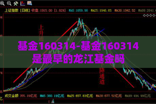 基金160314-基金160314是最早的龙江基金吗  第1张