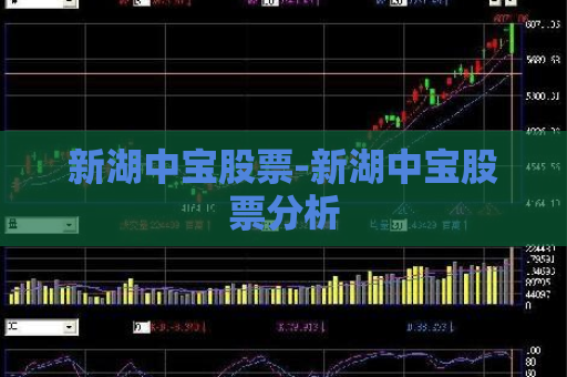 新湖中宝股票-新湖中宝股票分析  第1张