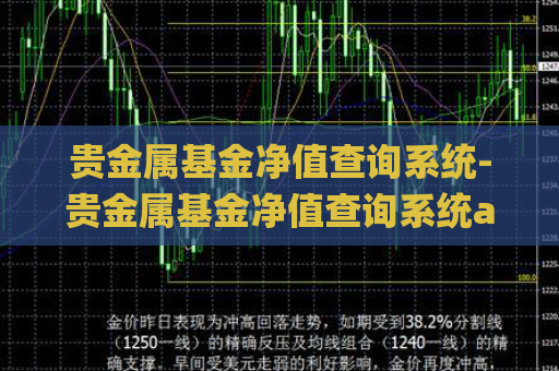 贵金属基金净值查询系统-贵金属基金净值查询系统app