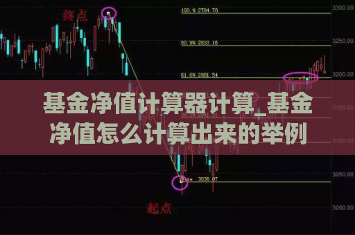 基金净值计算器计算_基金净值怎么计算出来的举例  第1张