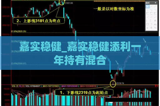 嘉实稳健_嘉实稳健添利一年持有混合  第1张