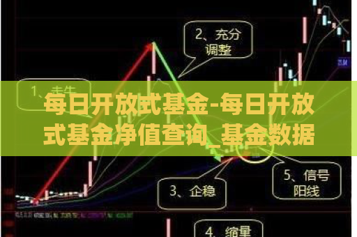 每日开放式基金-每日开放式基金净值查询_基金数据  第1张