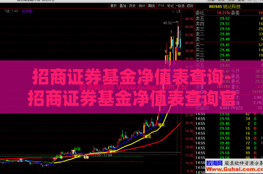 招商证券基金净值表查询-招商证券基金净值表查询官网  第1张