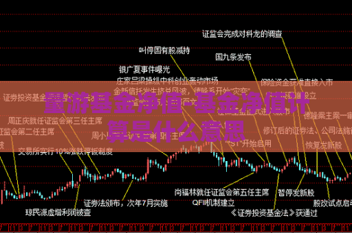 量游基金净值-基金净值计算是什么意思  第1张