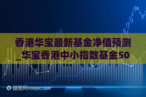 香港华宝最新基金净值预测_华宝香港中小指数基金501021  第1张