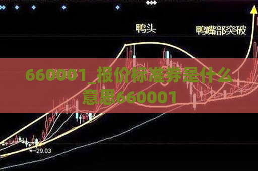 660001_报价标准券是什么意思660001  第1张