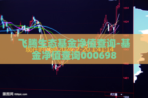 飞腾生态基金净值查询-基金净值查询000698